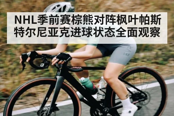 NHL季前赛棕熊对阵枫叶帕斯特尔尼亚克进球状态全面观察