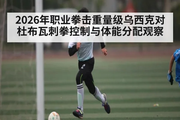 2026年职业拳击重量级乌西克对杜布瓦刺拳控制与体能分配观察
